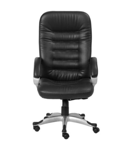Back Support Cushioned Leather Executive Chair